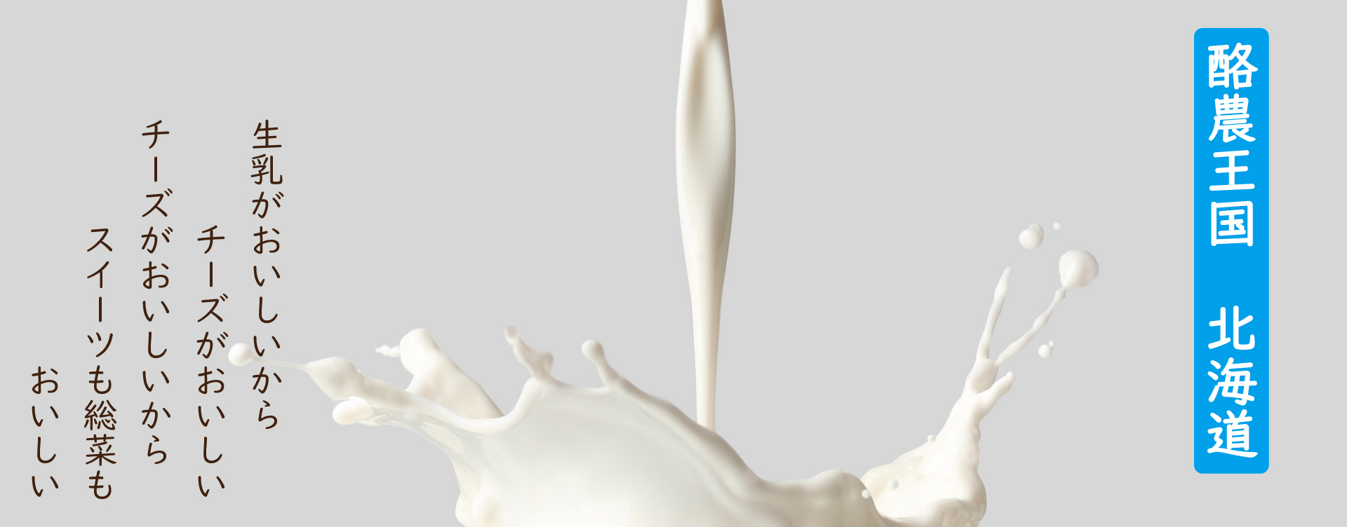 メイン画像3